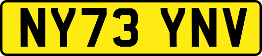 NY73YNV