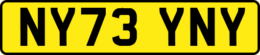 NY73YNY