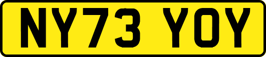 NY73YOY