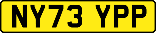 NY73YPP