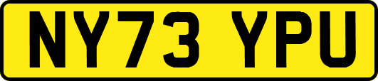 NY73YPU