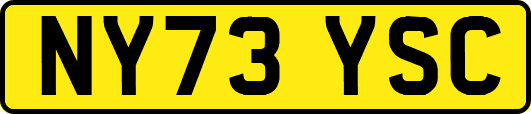 NY73YSC