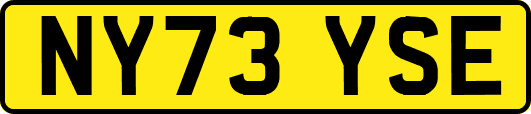 NY73YSE
