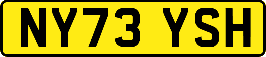 NY73YSH