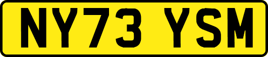 NY73YSM