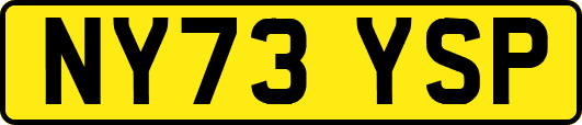 NY73YSP
