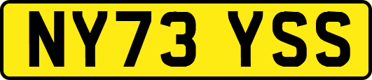 NY73YSS
