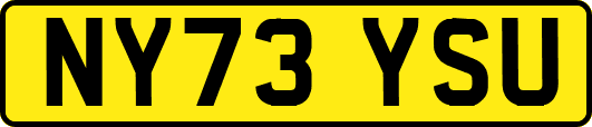 NY73YSU