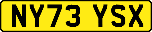 NY73YSX