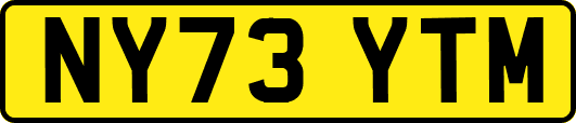 NY73YTM
