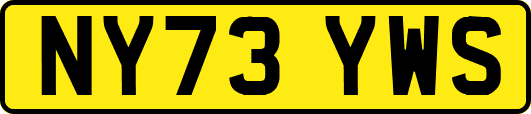NY73YWS