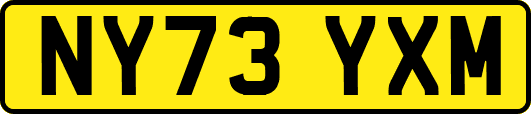 NY73YXM