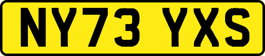 NY73YXS