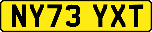 NY73YXT