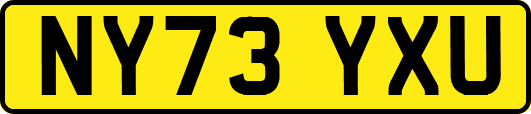 NY73YXU