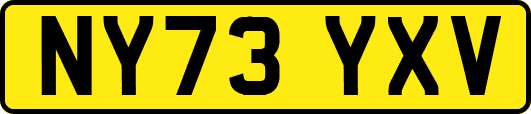 NY73YXV