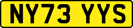 NY73YYS