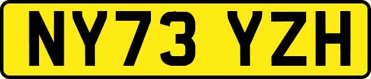 NY73YZH