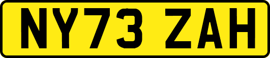 NY73ZAH