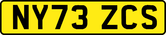 NY73ZCS