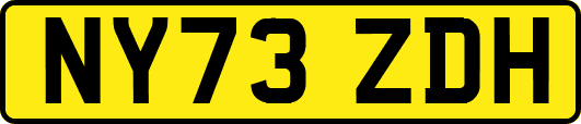 NY73ZDH