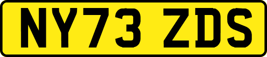 NY73ZDS
