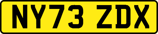 NY73ZDX