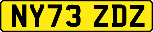NY73ZDZ