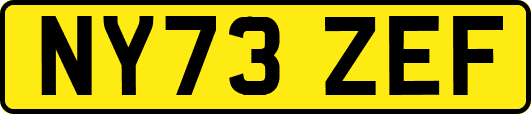 NY73ZEF