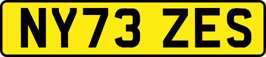 NY73ZES