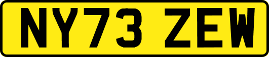 NY73ZEW