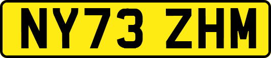 NY73ZHM