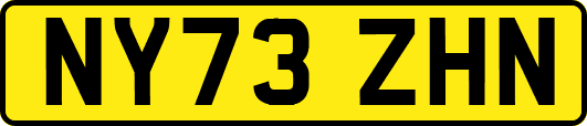 NY73ZHN