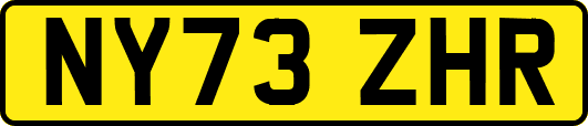 NY73ZHR