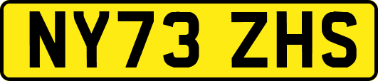 NY73ZHS