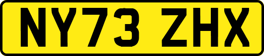NY73ZHX
