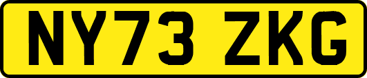 NY73ZKG