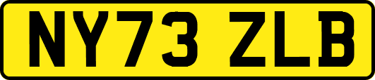 NY73ZLB