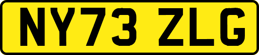 NY73ZLG