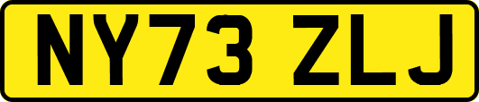 NY73ZLJ