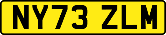 NY73ZLM