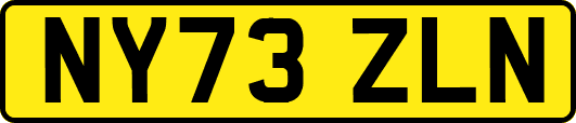 NY73ZLN