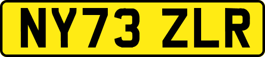 NY73ZLR