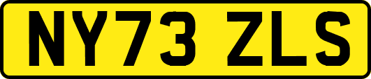 NY73ZLS