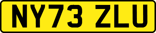 NY73ZLU
