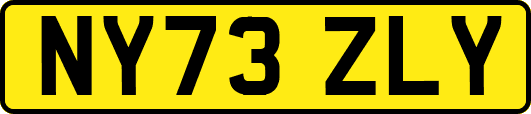 NY73ZLY