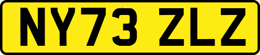 NY73ZLZ