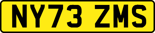 NY73ZMS
