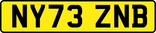 NY73ZNB