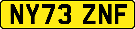 NY73ZNF